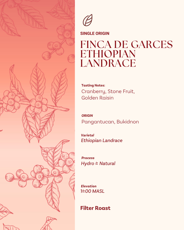Finca de Garces - Ethiopian Landrace
