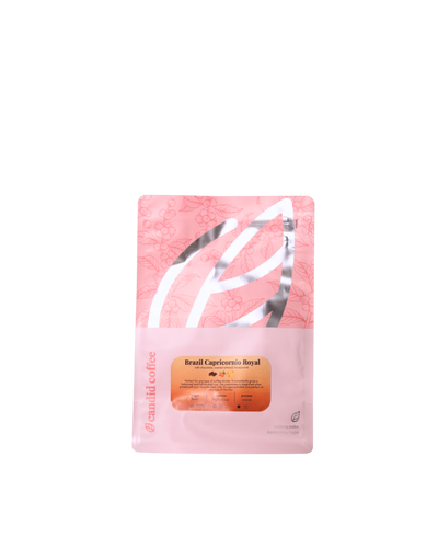 Brazil Capricornio