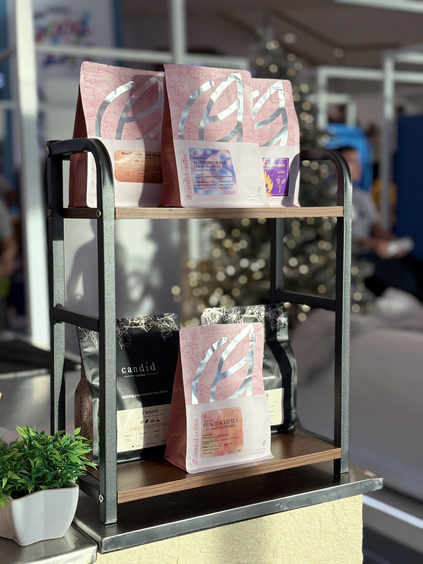 Specialty Coffee Bar